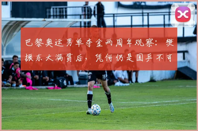 巴黎奥运男单夺金两周年观察：樊振东大满贯后，凭何仍是国乒不可撼动的定海神针