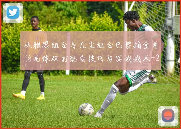 从雅思组合与凡尘组合巴黎摘金看羽毛球双打配合技巧与实战战术