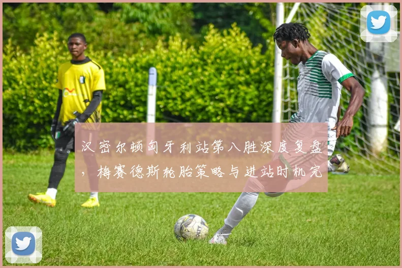 汉密尔顿匈牙利站第八胜深度复盘，梅赛德斯轮胎策略与进站时机完美演绎