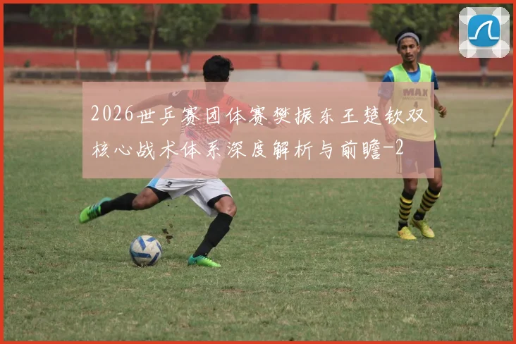 2026世乒赛团体赛樊振东王楚钦双核心战术体系深度解析与前瞻